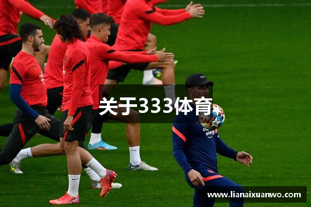 关于333体育